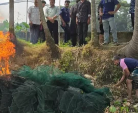 ফরিদগঞ্জে ডাকাতিয়া নদীতে প্রশাসনের অভিযানে ৪ লাখ টাকার অবৈধ জাল জব্দ