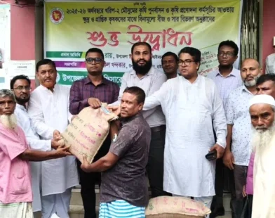 হাইমচরে বিনামূল্যে কৃষি প্রণোদনার বীজ ও সার বিতরণ উদ্বোধন