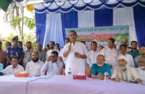 হাইমচরে চরপোড়ামুখী খাল পুনঃখনন ও বৃক্ষরোপণ কর্মসূচির উদ্বোধন