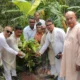 হাইমচরে সরকারি প্রাথমিক বিদ্যালয়ে প্রধানমন্ত্রীর বৃক্ষরোপণ কর্মসূচি পালিত