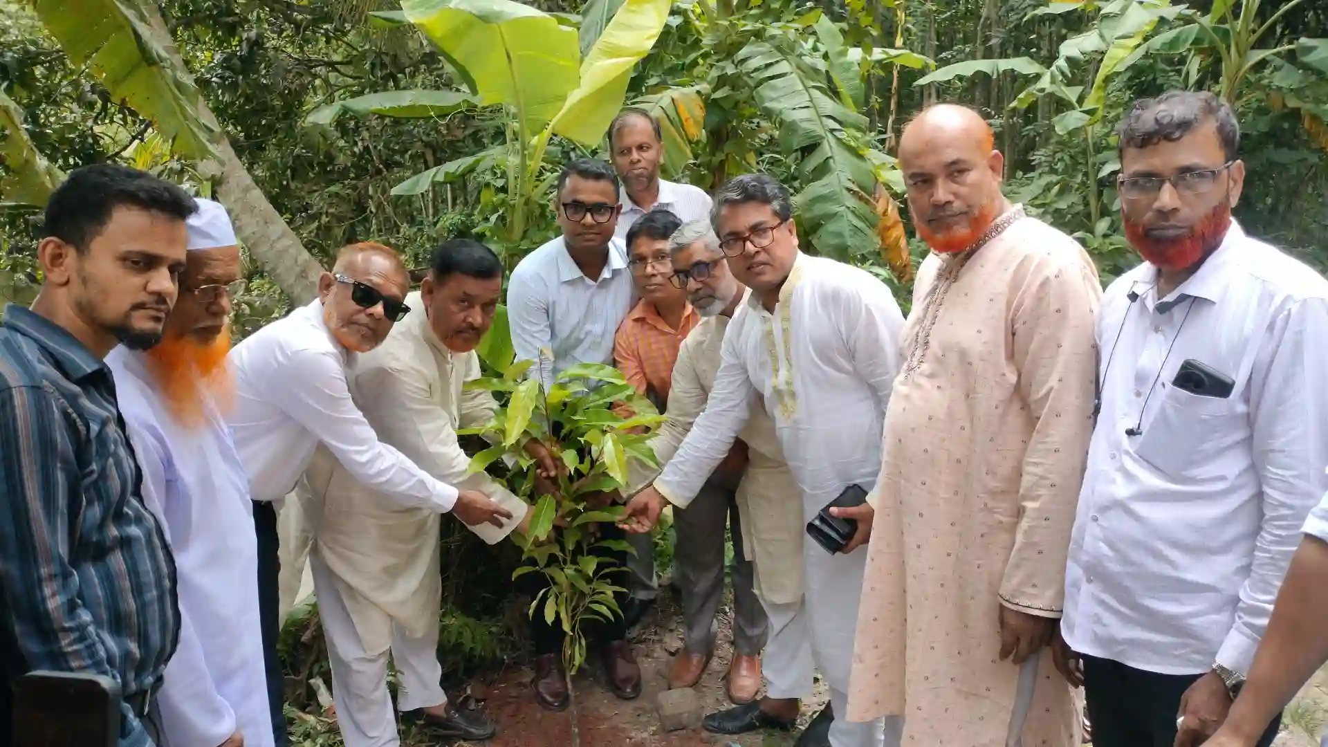 হাইমচরে সরকারি প্রাথমিক বিদ্যালয়ে প্রধানমন্ত্রীর বৃক্ষরোপণ কর্মসূচি পালিত