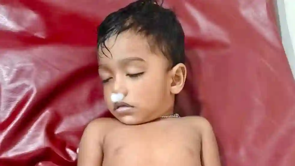 হাইমচরে পুকুরে ডুবে প্রাণ হারাল ২ বছরের প্রবাসীর সন্তান