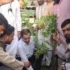 ফরিদগঞ্জে লায়ন মোঃ হারুনুর রশিদ এর মাসব্যাপী বৃক্ষরোপন কর্মসুচির উদ্বোধন