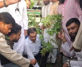 ফরিদগঞ্জে লায়ন মোঃ হারুনুর রশিদ এর মাসব্যাপী বৃক্ষরোপন কর্মসুচির উদ্বোধন