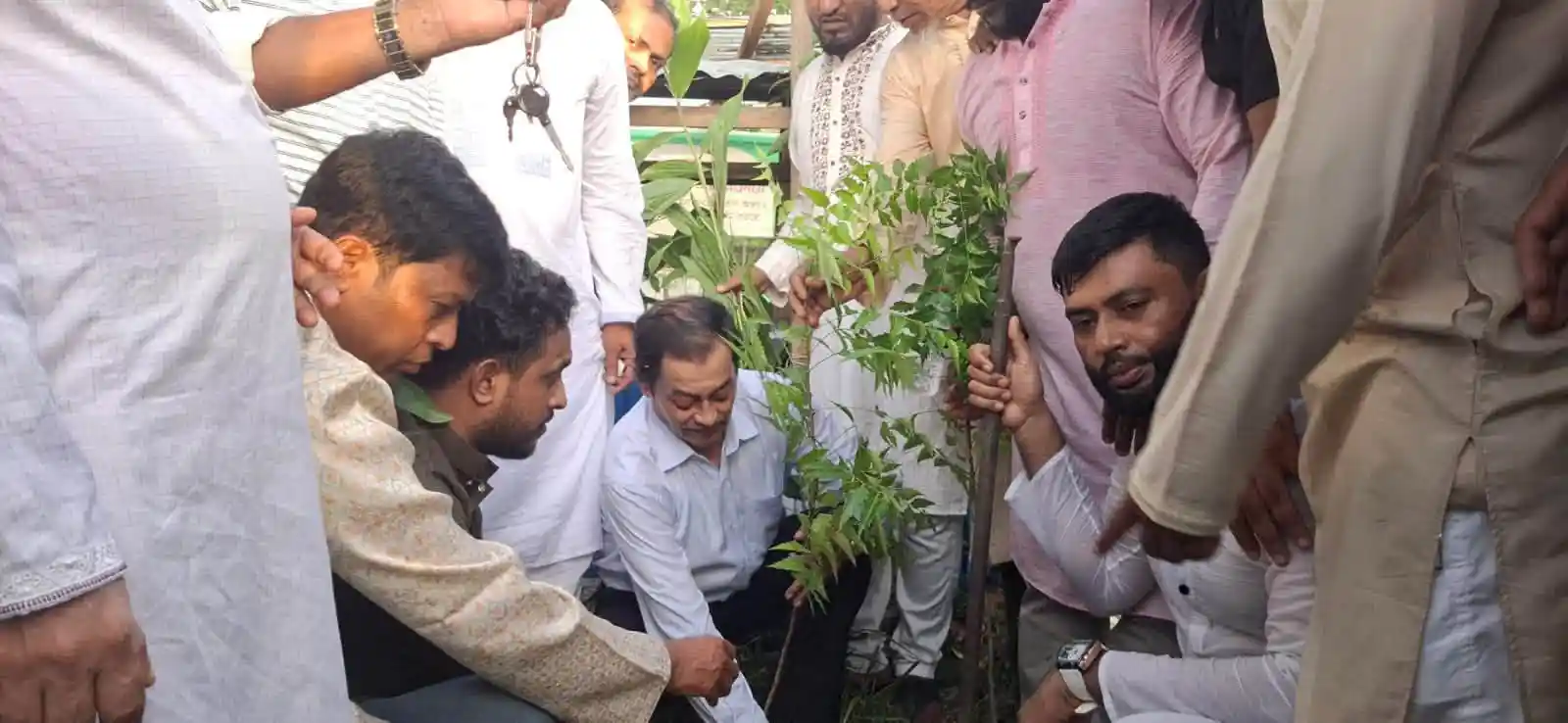 ফরিদগঞ্জে লায়ন মোঃ হারুনুর রশিদ এর মাসব্যাপী বৃক্ষরোপন কর্মসুচির উদ্বোধন