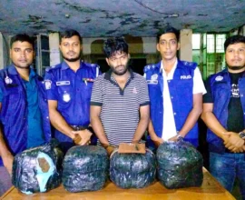 হাইমচরে ২০ কেজি গাঁজাসহ আটক ১, প্রাইভেটকার জব্দ