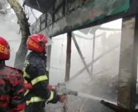মতলবে অগ্নিকাণ্ডে দুই ভাইয়ের বসতঘর পুড়ে ছাই