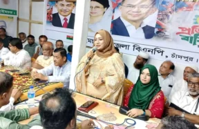 হাইমচরে বিএনপির ৪৮তম প্রতিষ্ঠাবার্ষিকী পালিত