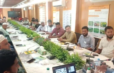হাইমচরে কৃষি উপকরণ বিক্রেতাদের প্রশিক্ষণে অনিয়মের অভিযোগ