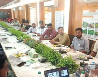 হাইমচরে কৃষি উপকরণ বিক্রেতাদের প্রশিক্ষণে অনিয়মের অভিযোগ